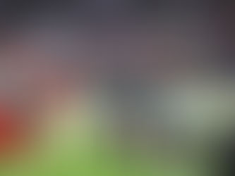 Dragons Fall in Season Opener to North Branch