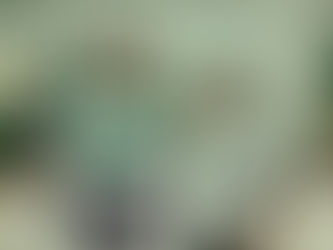 Grant Nicoll Steps Down as Dragon Hockey Coach