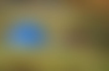 DNR Shortens Window to Reserve Campsites