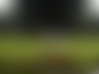 Jaguars Topple Eagles in Shutout Victory