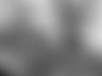 Dragons and Lions Battle in Conference Matchup