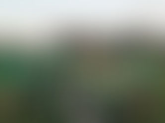 Pine City Boys and Girls Win Conference Track Meet