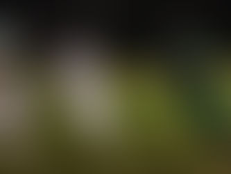 Dragons Start Season with Victory Over Two Harbors