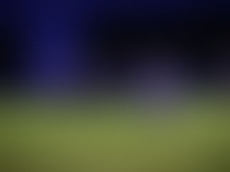 Archambault Scores Four Times in Tiger Victory