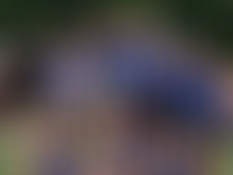 Mustangs Win Section Track Meet