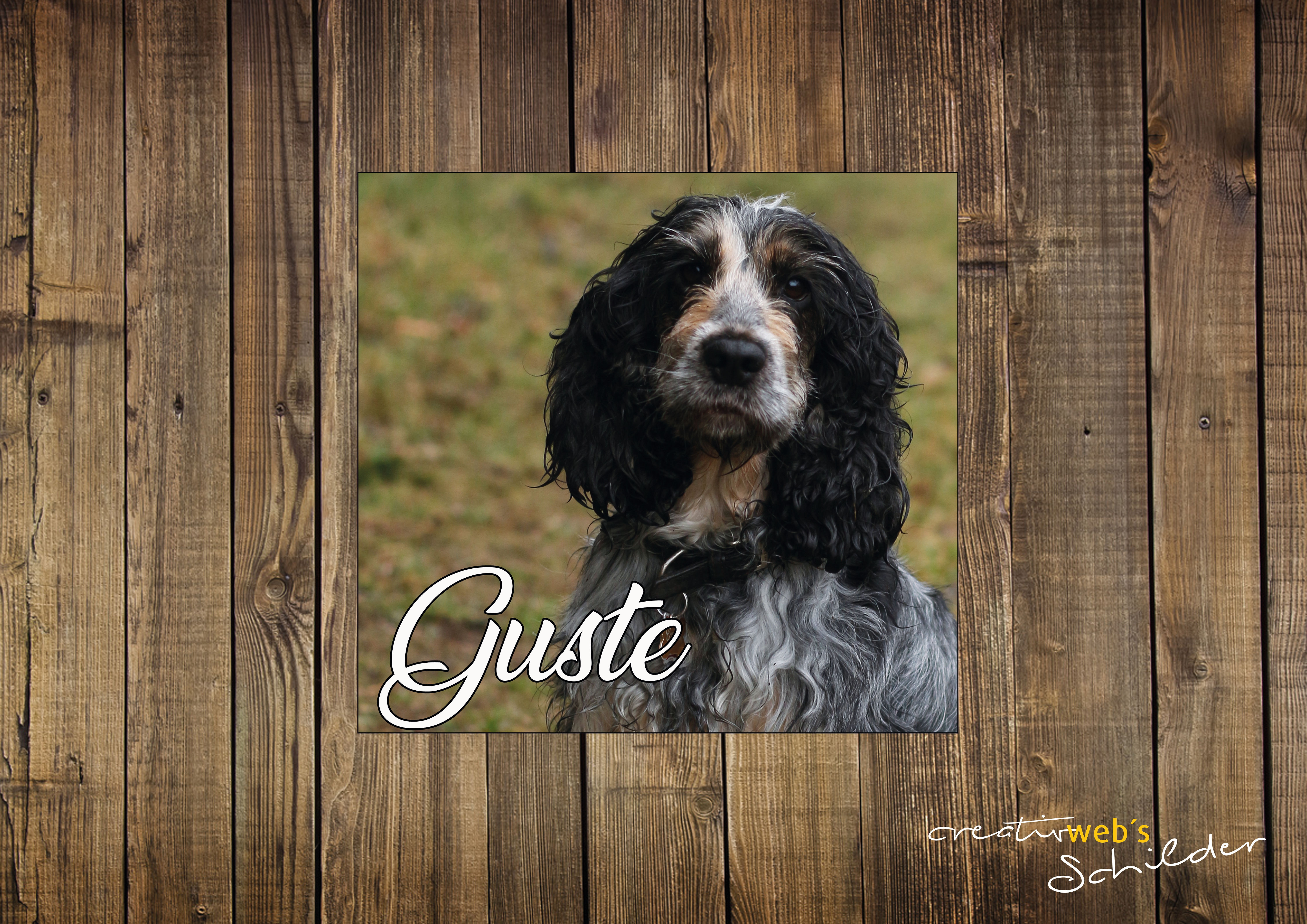 Individuelle Sticker für Hunde - quadratisches Set