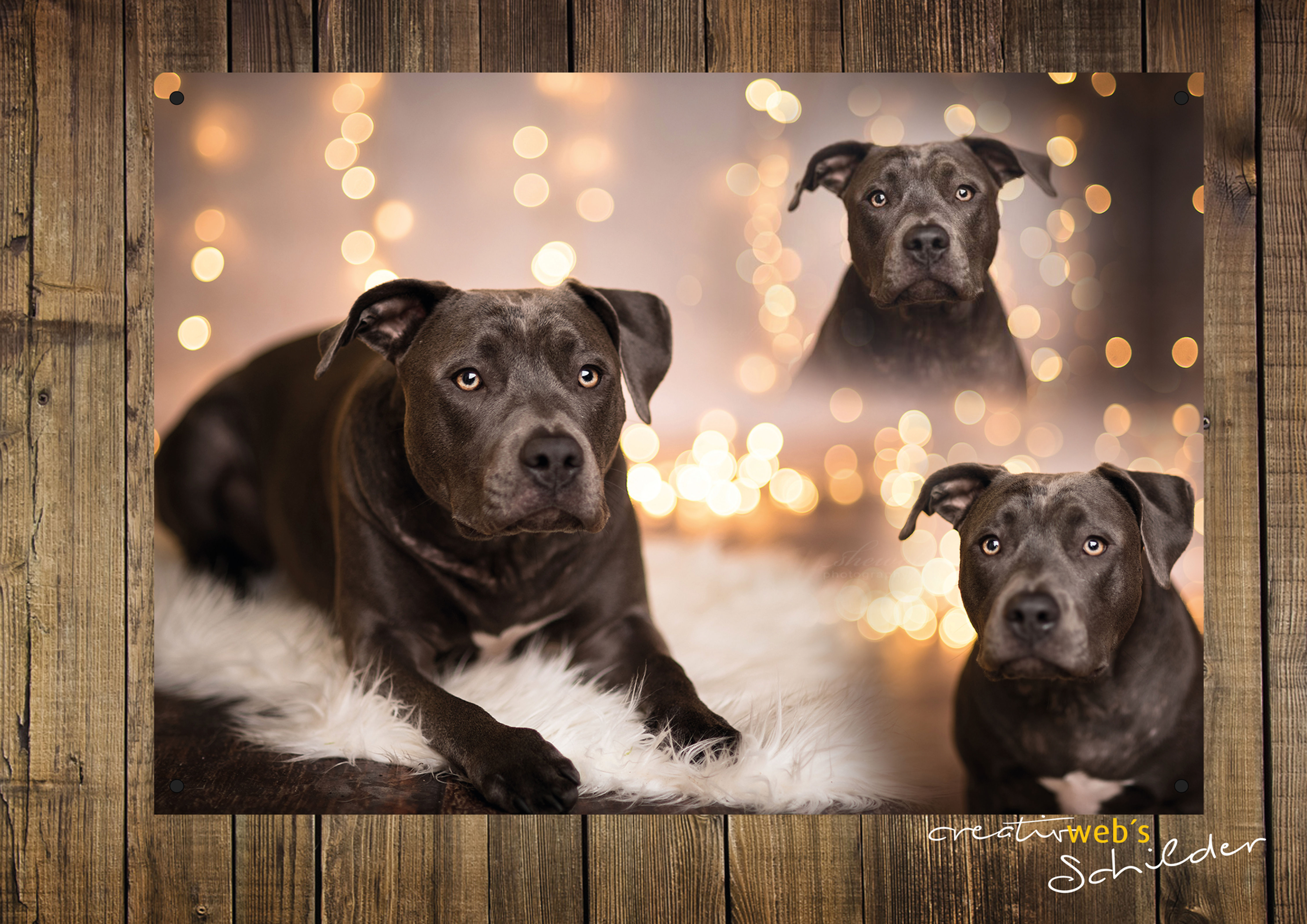 Individuelles Hundeschild