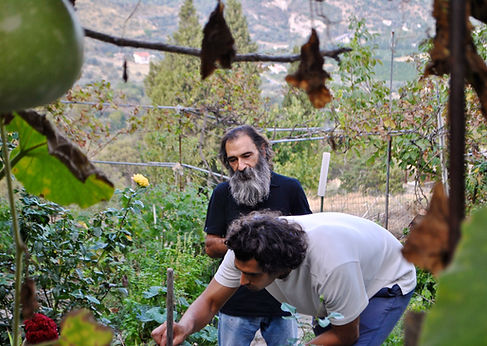 Luigi and Anthony in Luigi's family garden, Caulonia, Calabria, Italy