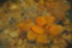 adding the apricots