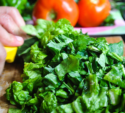 cutting lettuce for salad