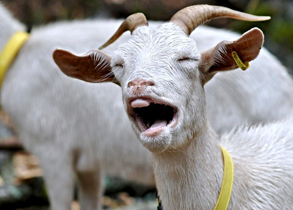 Håøya Naturverksted, Oslo, Norway