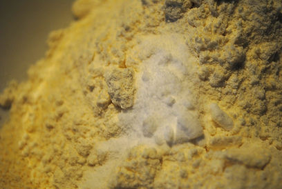 Adding Flour and Other Ingredients; Gaja's Crunchy Chocolate Chip Cookies Recipe, Croatia