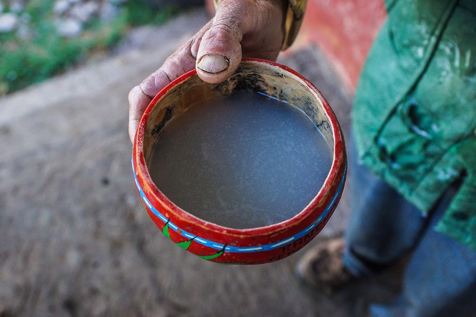 ancient art of maguey