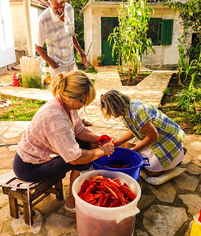 Ana and Marija, Preparing Bell Peppers for Ajvar, Imostki, Croatia