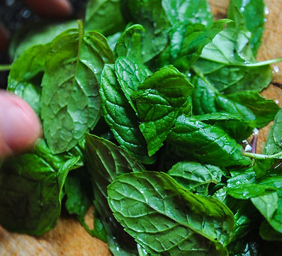 cutting mint for salad