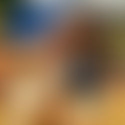 EVOLUÇÃO NO ESPORTE: um mercado que busca a mesma igualdade das pistas