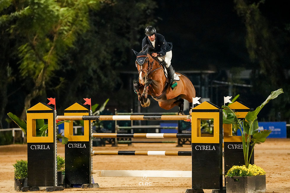 Dra. Natália Schmidt: Nutrição para cavalos de esporte