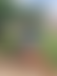 Maryam Awarded WMU Doctoral Scholar Fellowship!