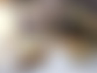 Fredagsbladet 1 (2023)