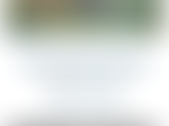 Fredagsbladet 4 (2026)