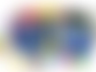 Life Kinetik® Tasche mit Material für das Gehirntraining