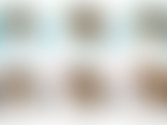 COVID-19 Protocol Reminder 疫情提醒