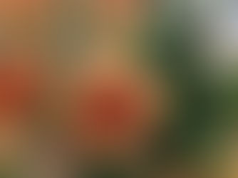 Make time for You & enjoy an Engaging Creative Connection