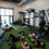 Thumbnail: Goat Sweat Session