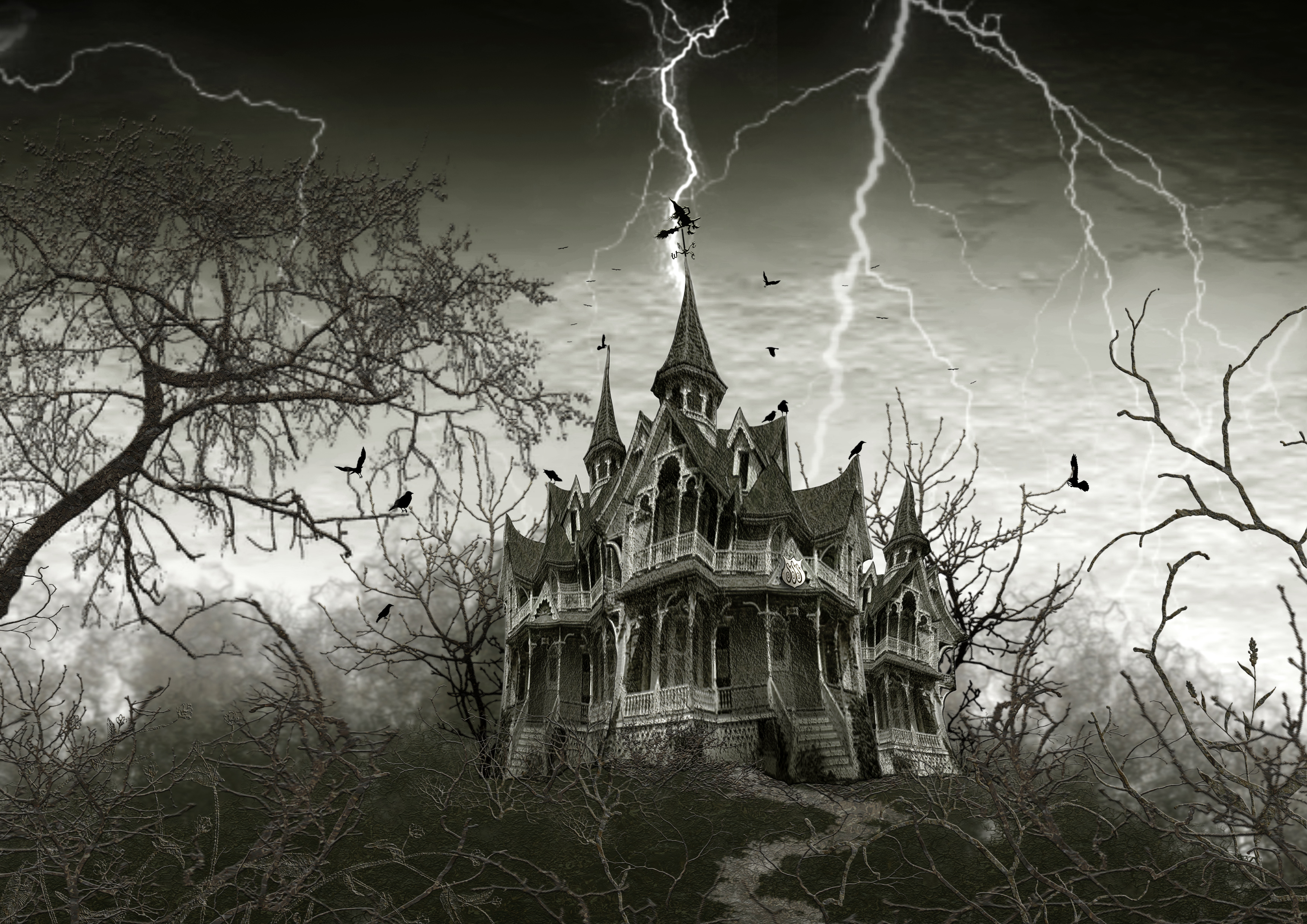 Young Witches School