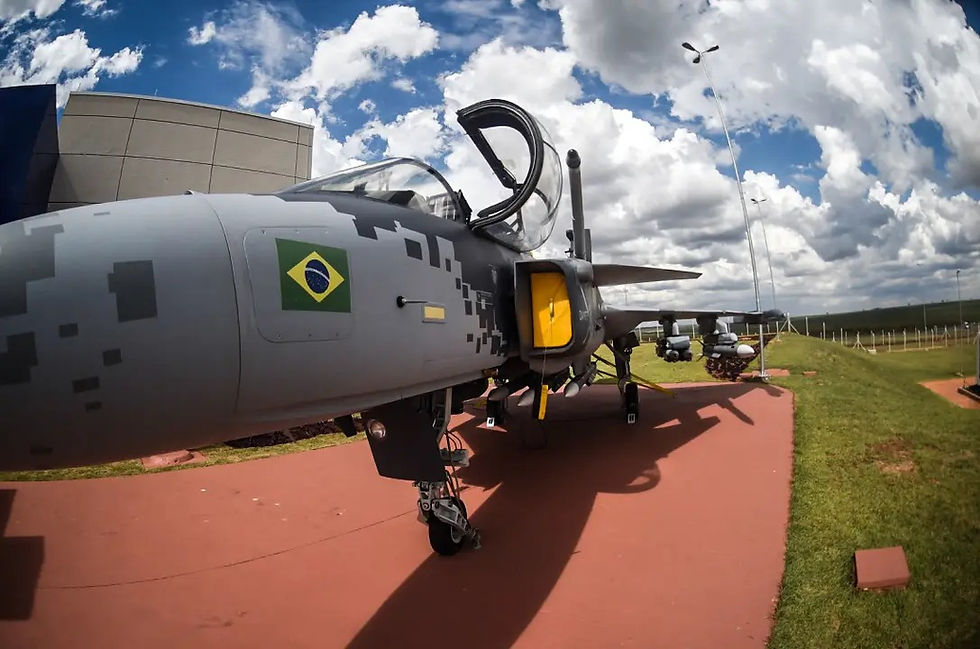 Caça Gripen da empresa sueca Saab apresentado em evento na cidade Gavião Peixoto, interior de São Paulo - 22/11/2016 (Felipe Cotrim)