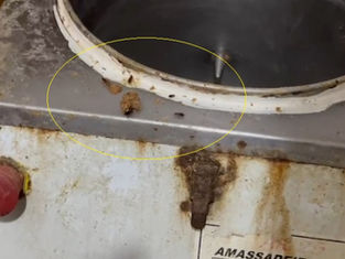 Fábrica clandestina de salgados é interditada por condições insalubres