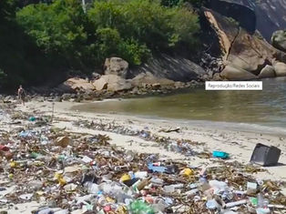 Descaso: Praia de Niterói é tomada pelo lixo
