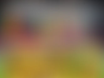 Torcedores romenos pedem fim da perseguição a cristãos na Nigéria, onde mais de 30 são mortos por dia