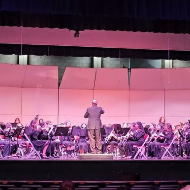 Concierto instrumental de invierno de LHS