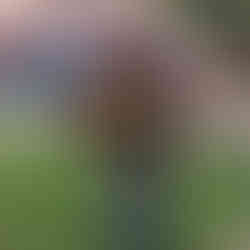 Tim Mattos playing accustic guitar at the museum