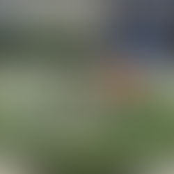 Skeleton display at K+K Vet