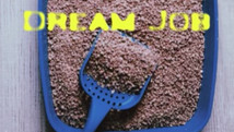 Not My Dream Job (directed by Kii Hornick)