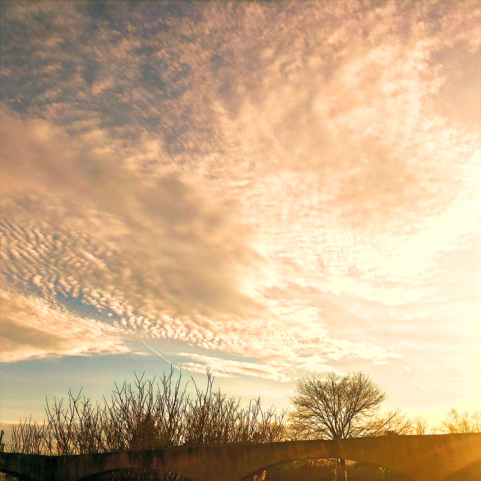 "Big Sky"