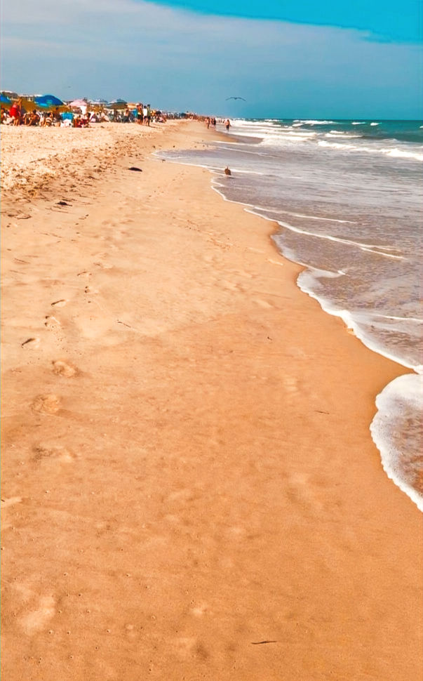 "Beach Haven"