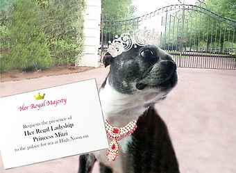 Princess-Mitzi.jpg
