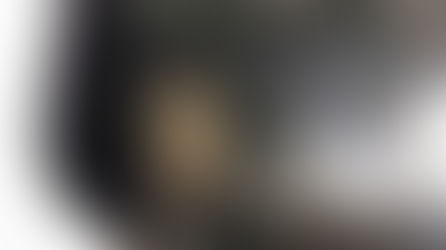 Me sentí tratada como 'El Chapo': Guadalupe García
