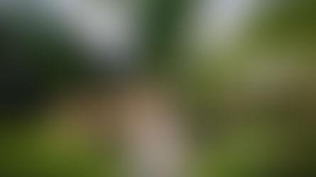 Developing You, Your Best Asset!