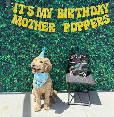 Murphy, 12 Months