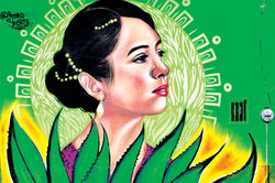 Ubicación: Av. Pozos, Col. Reforma Política ll. Territorial Santa Catarina