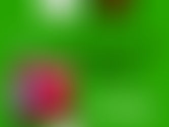 GWは長沼のカレーの家へ！