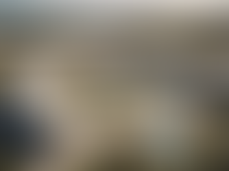 Government-Funded Recovery: Sandy Paradise's Transitional Housing Solution