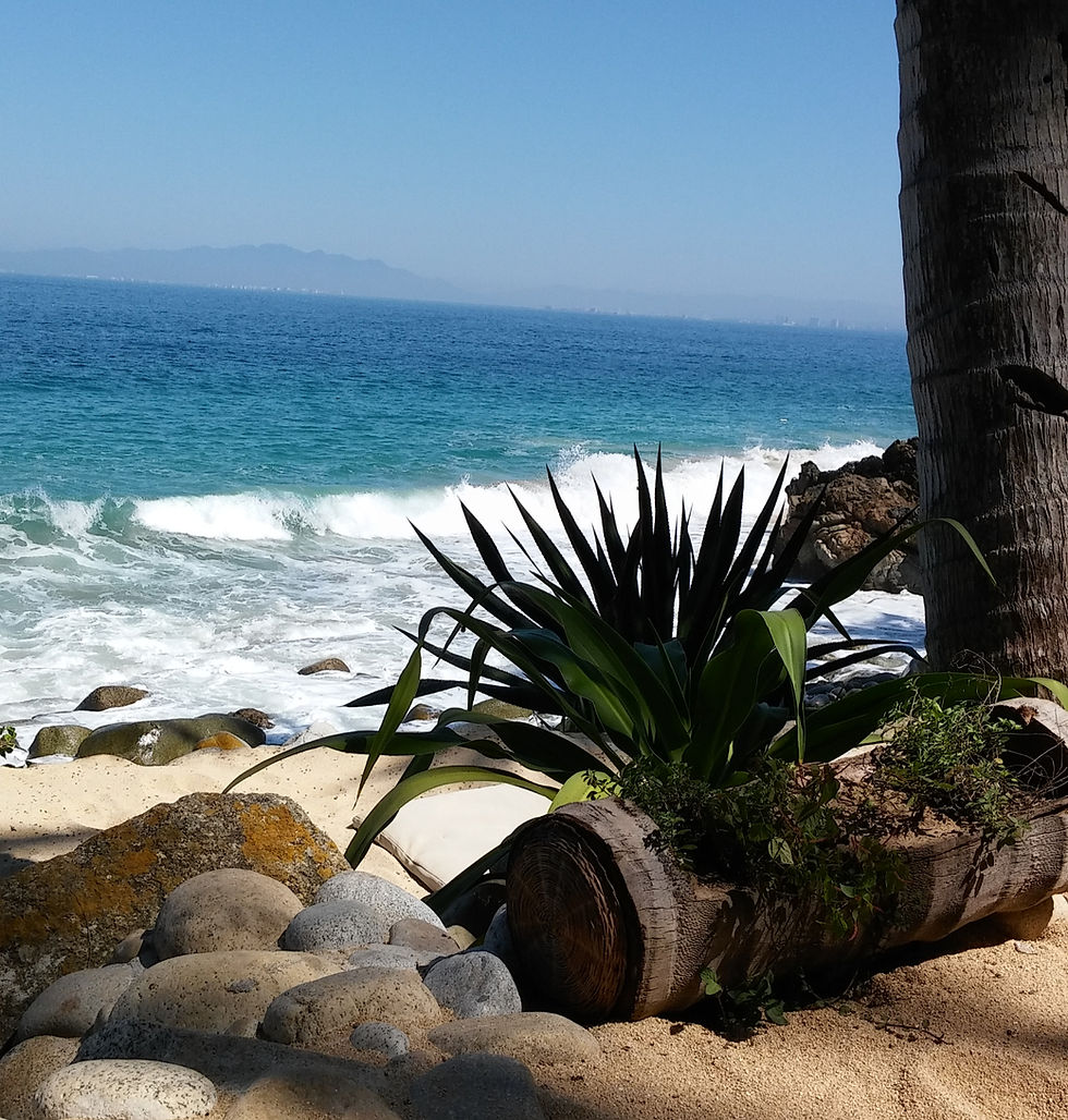 vallarta-blends-9_edited.jpg