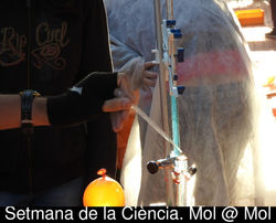 7mCiencia-34