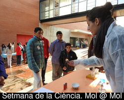 7mCiencia-48