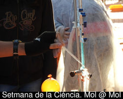 7mCiencia-35